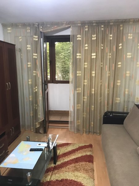 Bdul Lacul Tei, Domino, Grigore Moisil