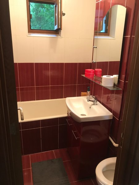 Bdul Lacul Tei, Domino, Grigore Moisil