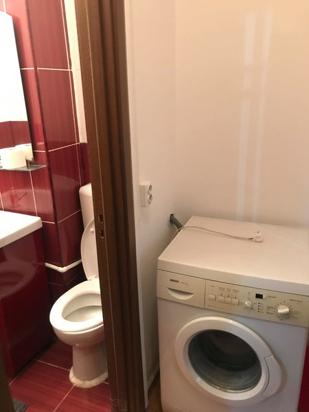 Bdul Lacul Tei, Domino, Grigore Moisil