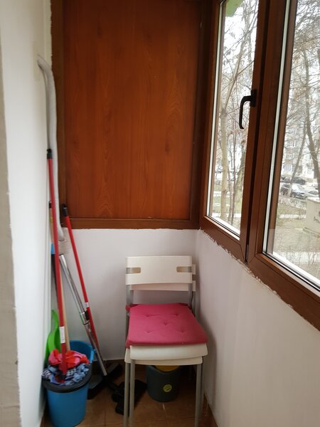 Bdul Lacul Tei, Domino, Grigore Moisil