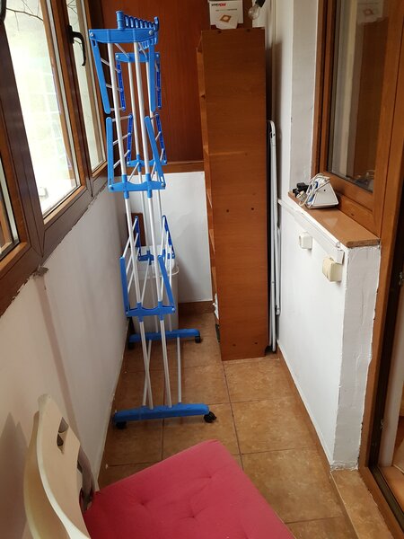 Bdul Lacul Tei, Domino, Grigore Moisil