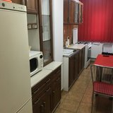 Bdul Lacul Tei, Domino, Grigore Moisil